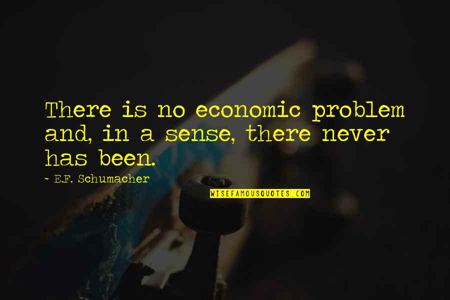 There Is No Problem Quotes By E.F. Schumacher: There is no economic problem and, in a