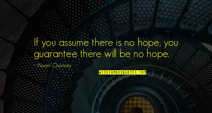 There No Hope Quotes By Noam Chomsky: If you assume there is no hope, you