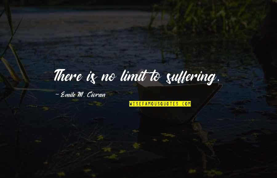 There No Limit Quotes By Emile M. Cioran: There is no limit to suffering.