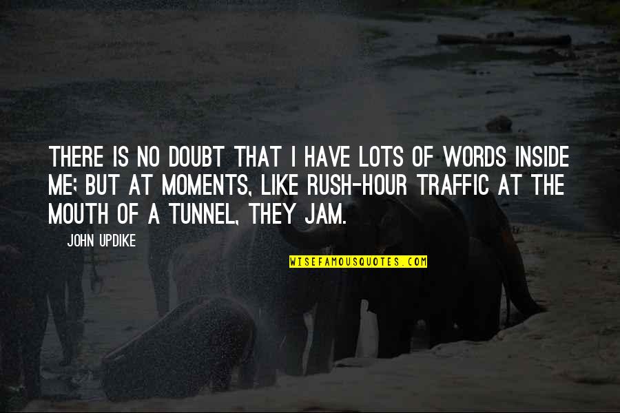 There No Words Quotes By John Updike: There is no doubt that I have lots