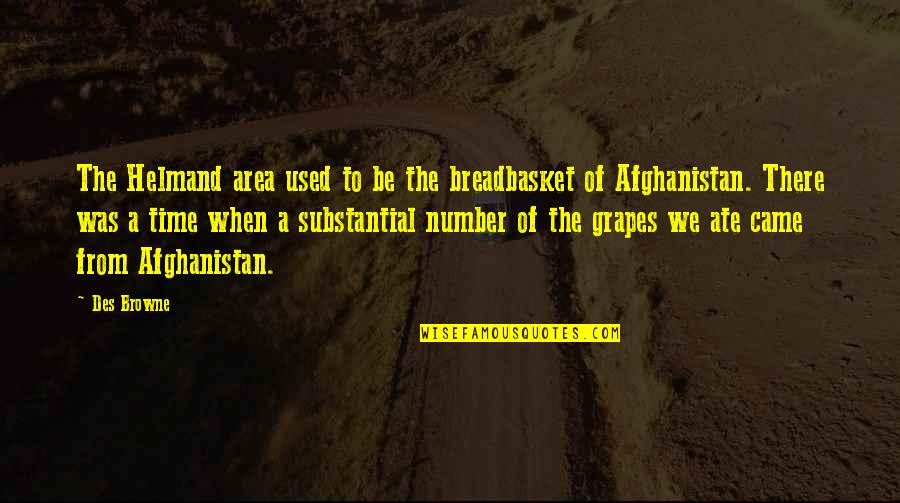 There Was A Time Quotes By Des Browne: The Helmand area used to be the breadbasket