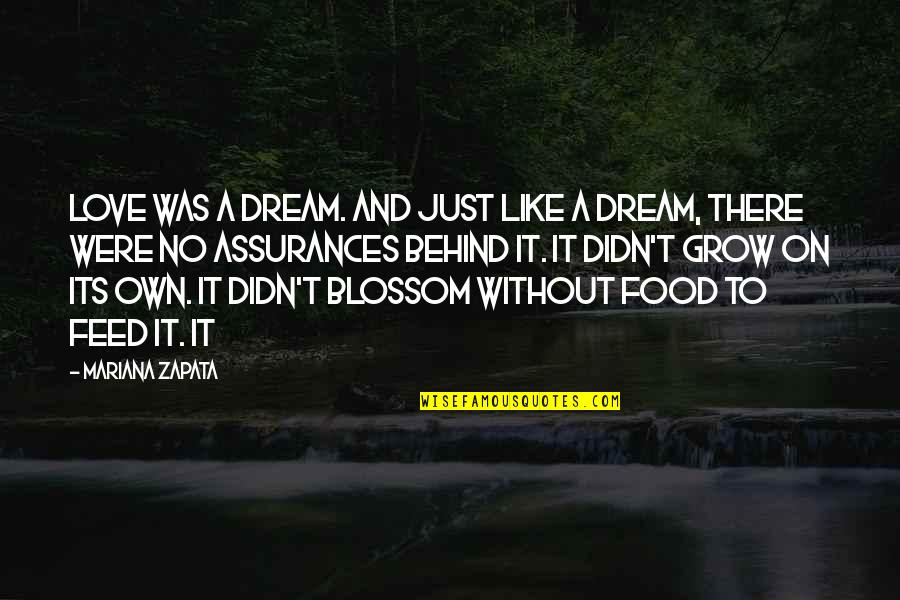 There Was No Love Quotes By Mariana Zapata: love was a dream. And just like a There Was No Love Quotes By Mariana Zapata: love was a dream. And just like a