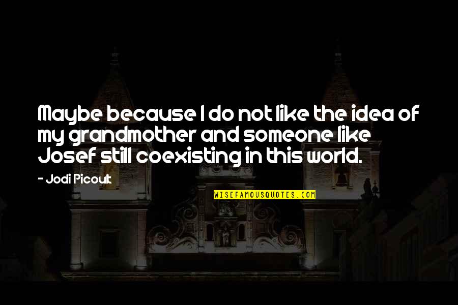 There Will Come Soft Rains Quotes By Jodi Picoult: Maybe because I do not like the idea