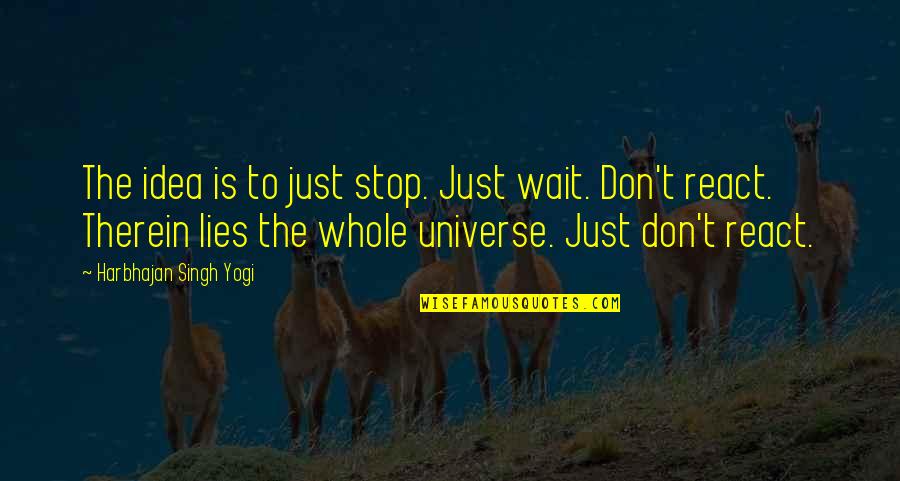 Therein Quotes By Harbhajan Singh Yogi: The idea is to just stop. Just wait.