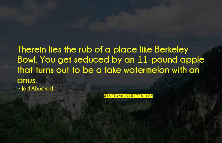 Therein Quotes By Jad Abumrad: Therein lies the rub of a place like