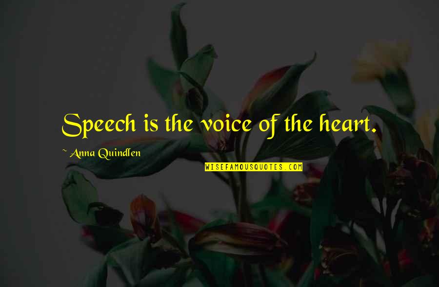 There's Always Something Good In Everything Quotes By Anna Quindlen: Speech is the voice of the heart.