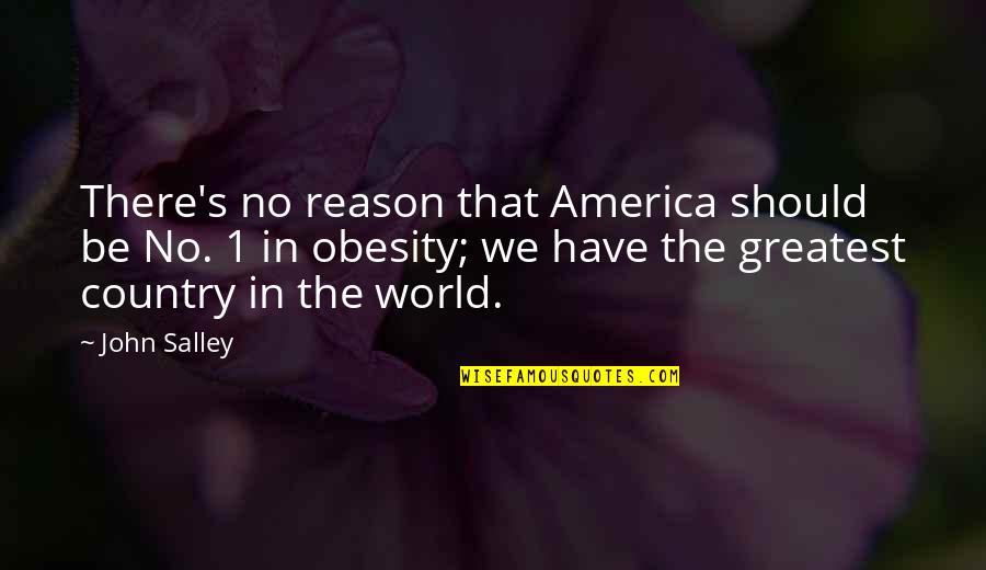 There's No Reason Quotes By John Salley: There's no reason that America should be No.