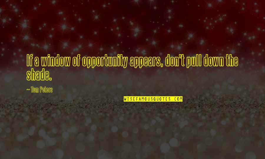 There's No Reason To Cry Quotes By Tom Peters: If a window of opportunity appears, don't pull