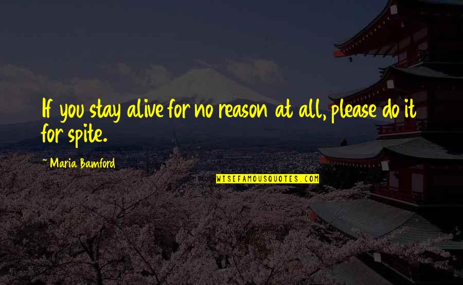 There's No Reason To Stay Quotes By Maria Bamford: If you stay alive for no reason at