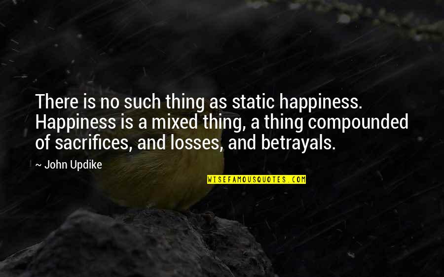 There's No Such Thing As Love Quotes By John Updike: There is no such thing as static happiness.