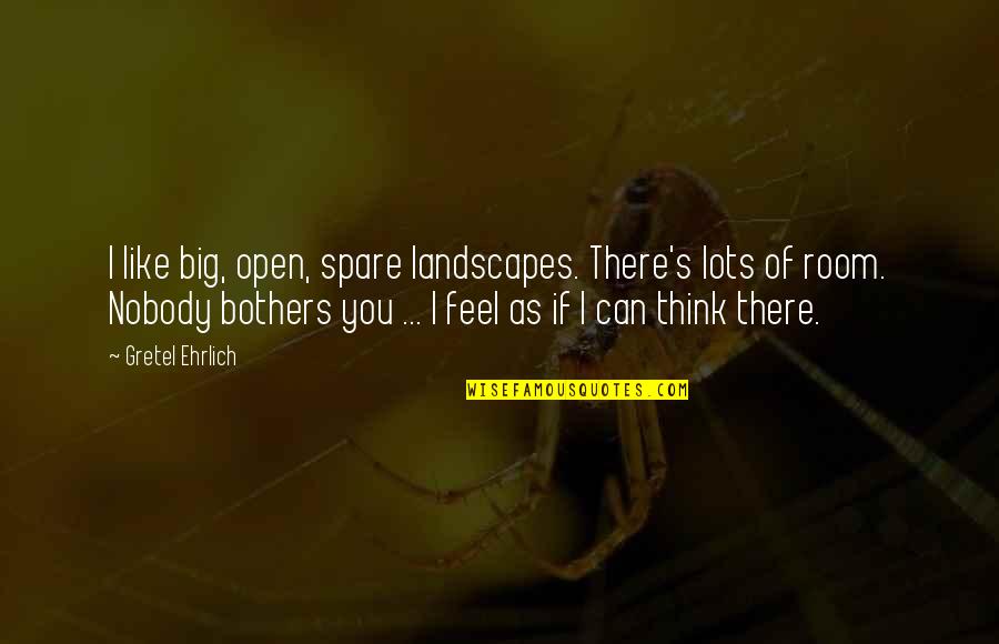There's Nobody Like You Quotes By Gretel Ehrlich: I like big, open, spare landscapes. There's lots