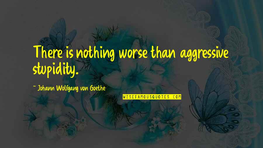 There's Nothing Worse Than Quotes By Johann Wolfgang Von Goethe: There is nothing worse than aggressive stupidity.