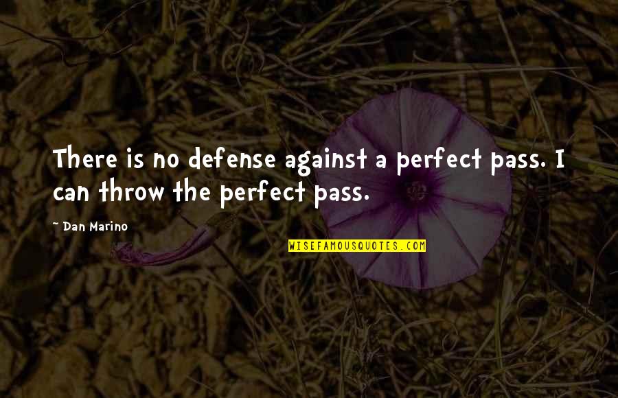 There's Reason Behind Everything Quotes By Dan Marino: There is no defense against a perfect pass.