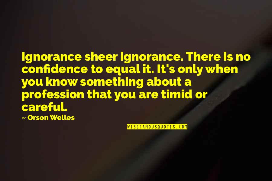 There's Something About You Quotes By Orson Welles: Ignorance sheer ignorance. There is no confidence to