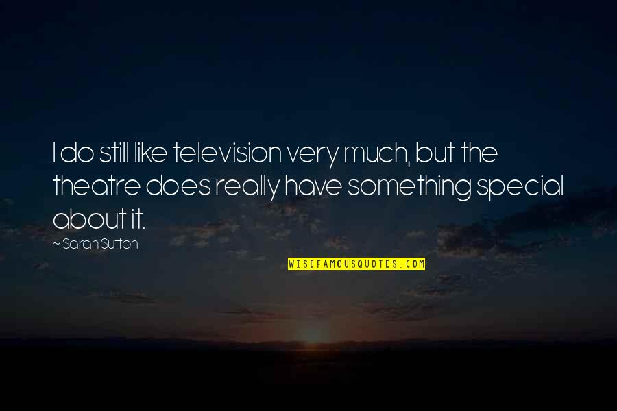 There's Something Special About You Quotes By Sarah Sutton: I do still like television very much, but