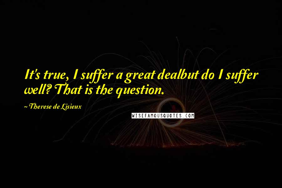 Therese De Lisieux quotes: It's true, I suffer a great dealbut do I suffer well? That is the question.