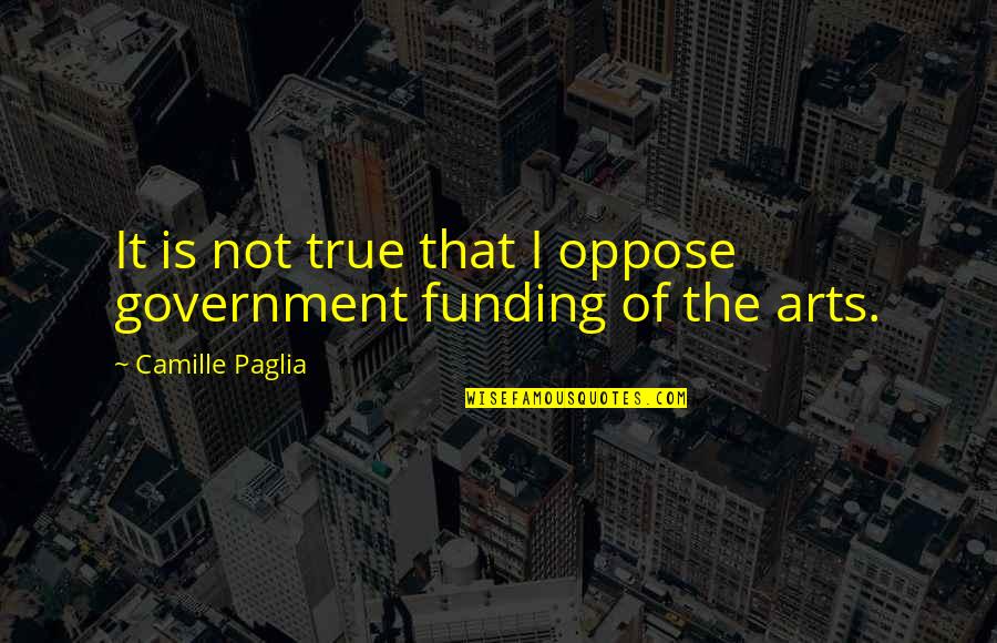 Thereza Vandelli Quotes By Camille Paglia: It is not true that I oppose government