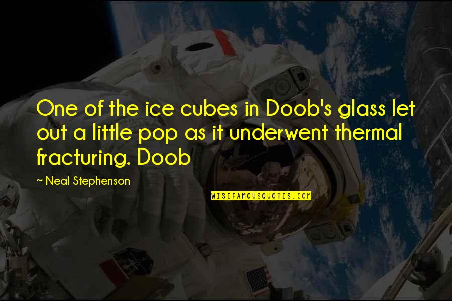 Thermal Quotes By Neal Stephenson: One of the ice cubes in Doob's glass