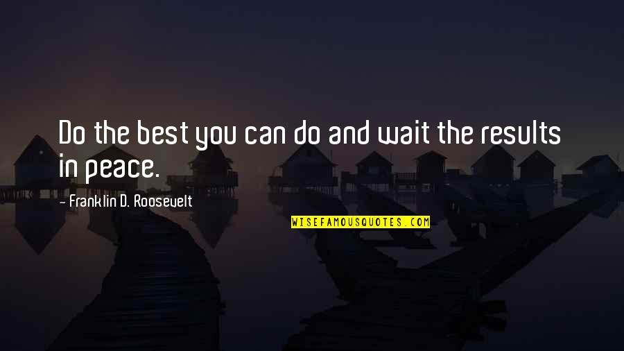 Thermodynamic Funny Quotes By Franklin D. Roosevelt: Do the best you can do and wait Thermodynamic Funny Quotes By Franklin D. Roosevelt: Do the best you can do and wait