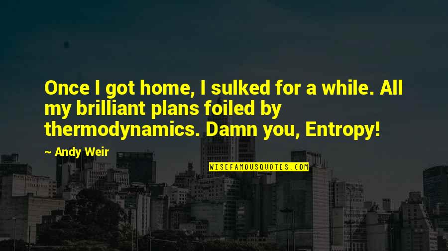 Thermodynamics Quotes By Andy Weir: Once I got home, I sulked for a