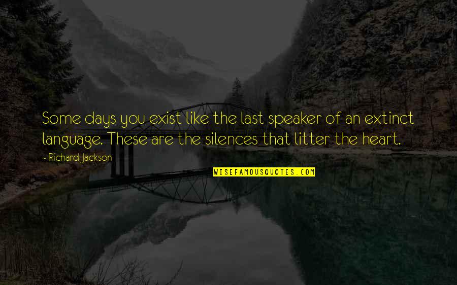These Are The Days Quotes By Richard Jackson: Some days you exist like the last speaker