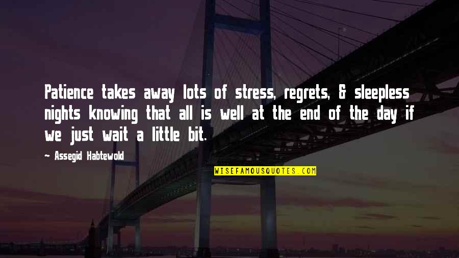 These Sleepless Nights Quotes By Assegid Habtewold: Patience takes away lots of stress, regrets, &