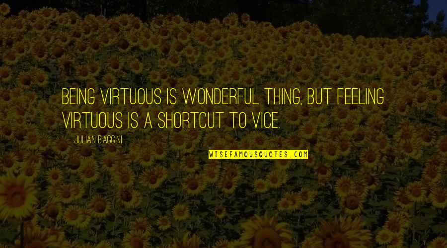 Thesquarerootofminusone Quotes By Julian Baggini: Being virtuous is wonderful thing, but feeling virtuous