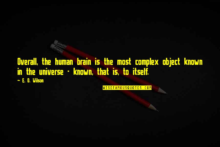 Thevenetimyia Quotes By E. O. Wilson: Overall, the human brain is the most complex Thevenetimyia Quotes By E. O. Wilson: Overall, the human brain is the most complex