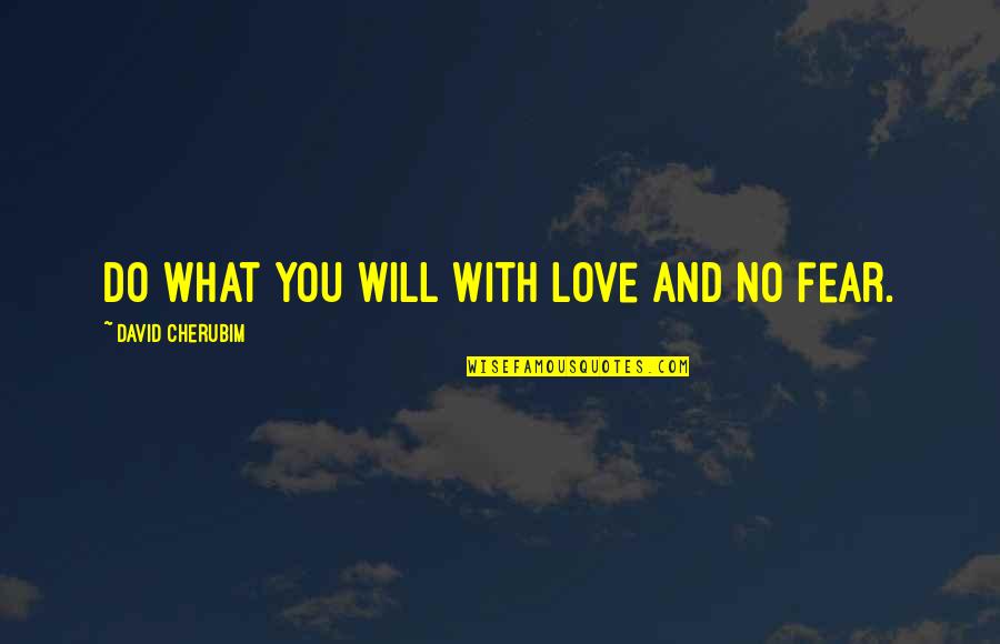 They Call Us Dreamers Quotes By David Cherubim: Do what you Will with love and no