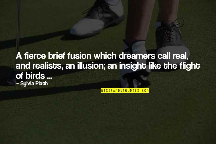 They Call Us Dreamers Quotes By Sylvia Plath: A fierce brief fusion which dreamers call real,