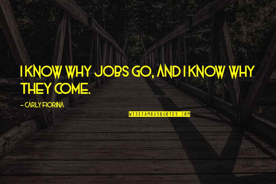 They Come And They Go Quotes By Carly Fiorina: I know why jobs go, and I know