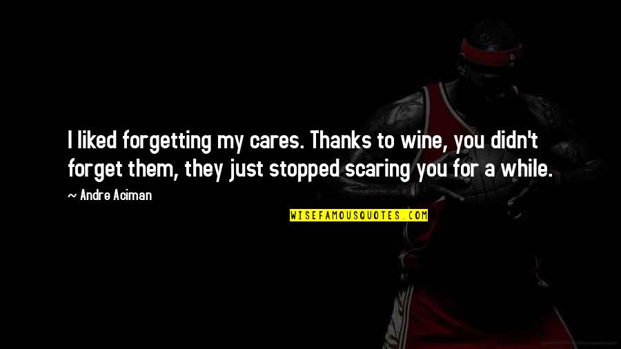 They Didn't Care Quotes By Andre Aciman: I liked forgetting my cares. Thanks to wine,