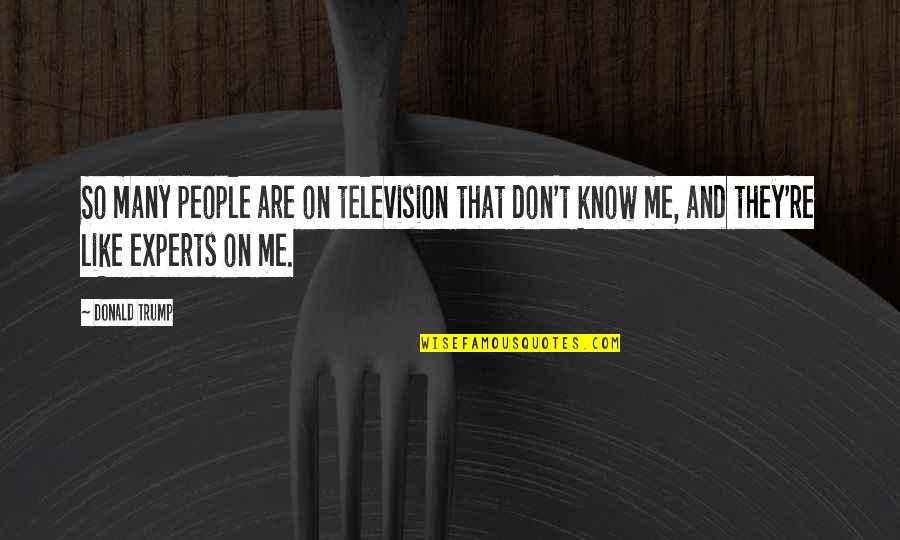 They Don't Like Me Quotes By Donald Trump: So many people are on television that don't