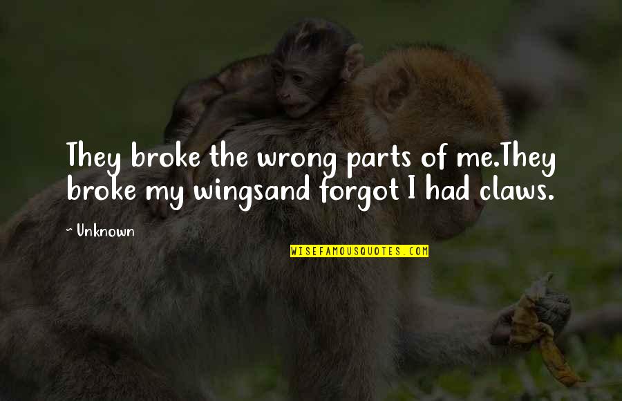 They Forgot Me Quotes By Unknown: They broke the wrong parts of me.They broke
