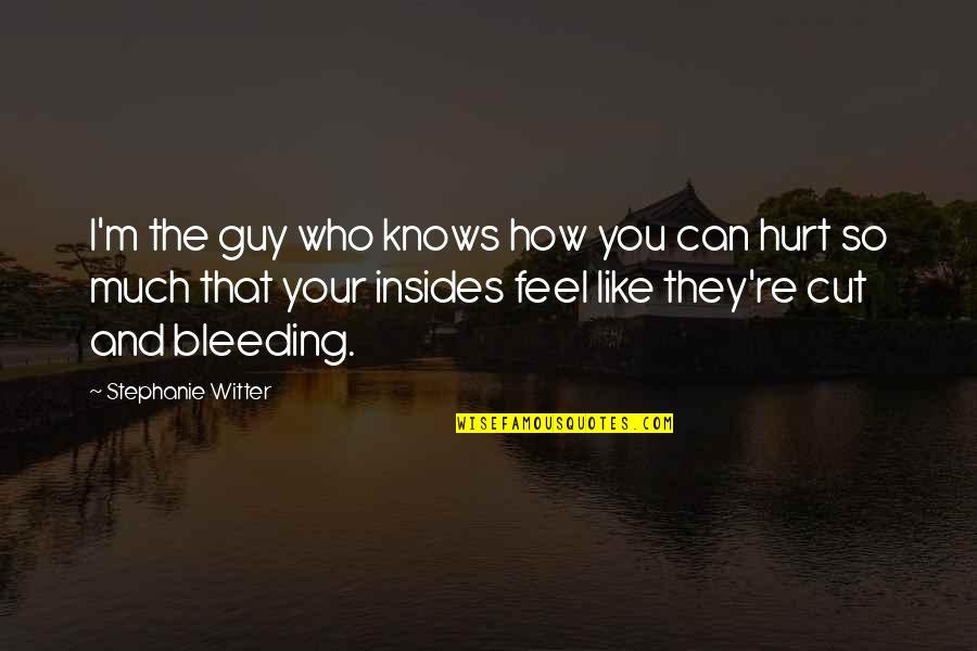 They Hurt You Quotes By Stephanie Witter: I'm the guy who knows how you can