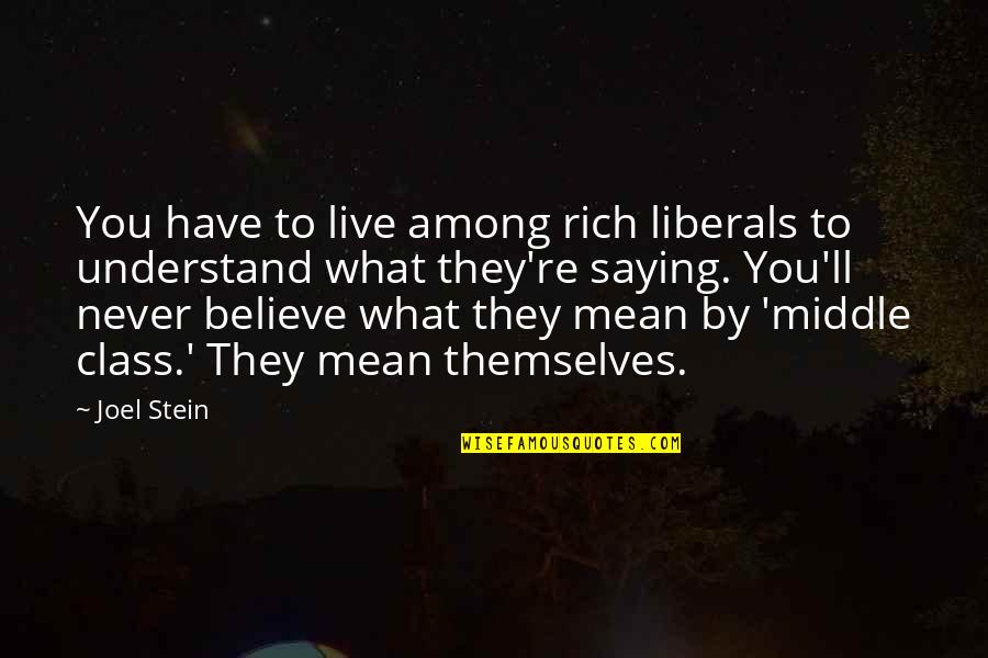 They Never Understand Quotes By Joel Stein: You have to live among rich liberals to