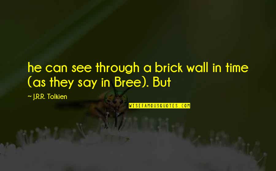They Say Time Quotes By J.R.R. Tolkien: he can see through a brick wall in They Say Time Quotes By J.R.R. Tolkien: he can see through a brick wall in