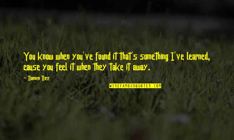 They Take Away Quotes By Damien Rice: You know when you've found it that's something They Take Away Quotes By Damien Rice: You know when you've found it that's something