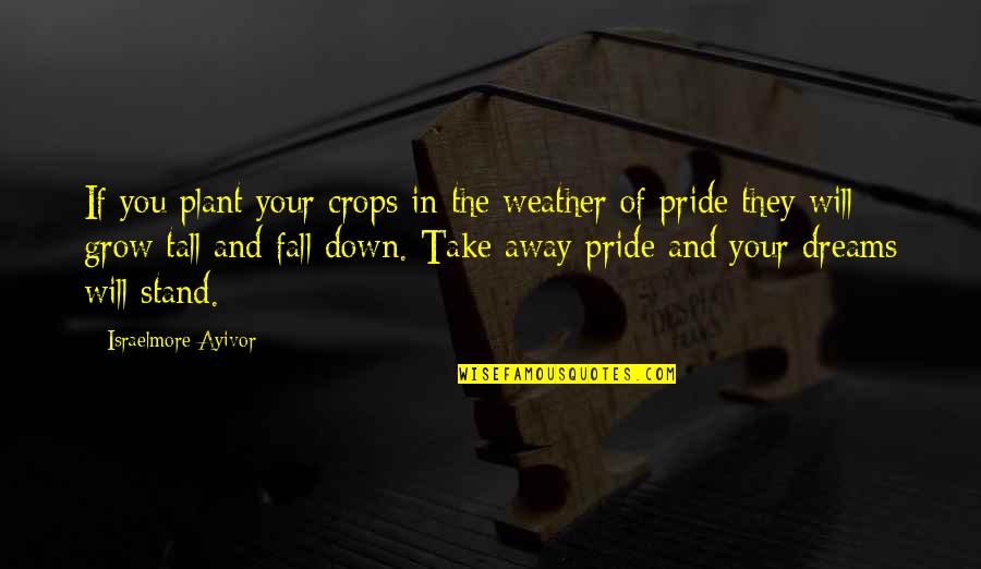 They Take Away Quotes By Israelmore Ayivor: If you plant your crops in the weather They Take Away Quotes By Israelmore Ayivor: If you plant your crops in the weather