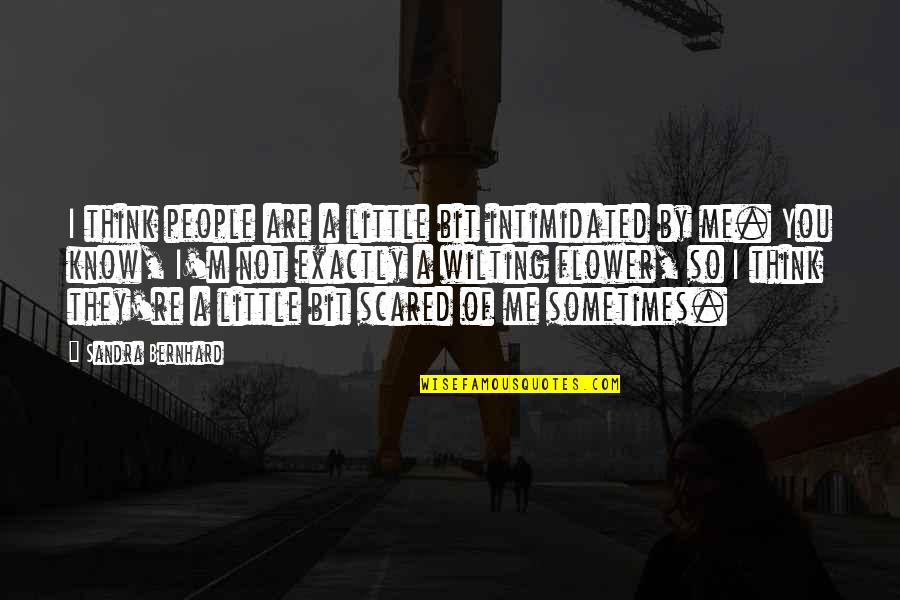 They Think They Know Me Quotes By Sandra Bernhard: I think people are a little bit intimidated