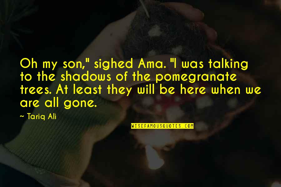 They're All Gone Quotes By Tariq Ali: Oh my son," sighed Ama. "I was talking