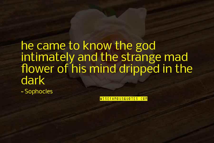 Thiamine Deficiency Quotes By Sophocles: he came to know the god intimately and Thiamine Deficiency Quotes By Sophocles: he came to know the god intimately and