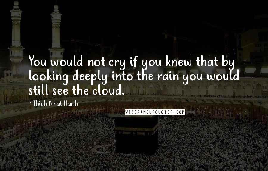 Thich Nhat Hanh quotes: You would not cry if you knew that by looking deeply into the rain you would still see the cloud.