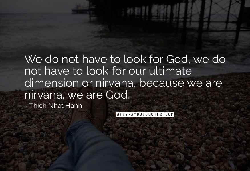 Thich Nhat Hanh quotes: We do not have to look for God, we do not have to look for our ultimate dimension or nirvana, because we are nirvana, we are God.