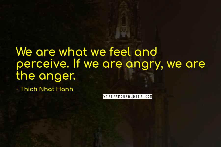 Thich Nhat Hanh quotes: We are what we feel and perceive. If we are angry, we are the anger.