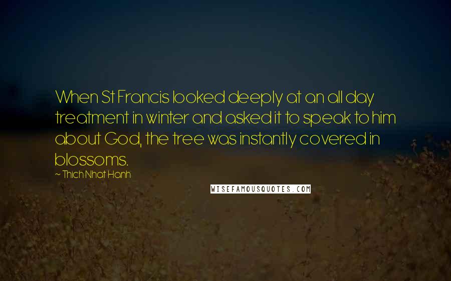 Thich Nhat Hanh quotes: When St Francis looked deeply at an all day treatment in winter and asked it to speak to him about God, the tree was instantly covered in blossoms.