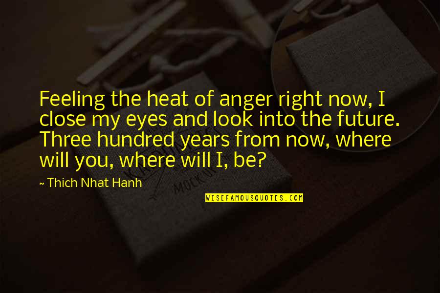 Thich Nhat Hanh Quotes By Thich Nhat Hanh: Feeling the heat of anger right now, I