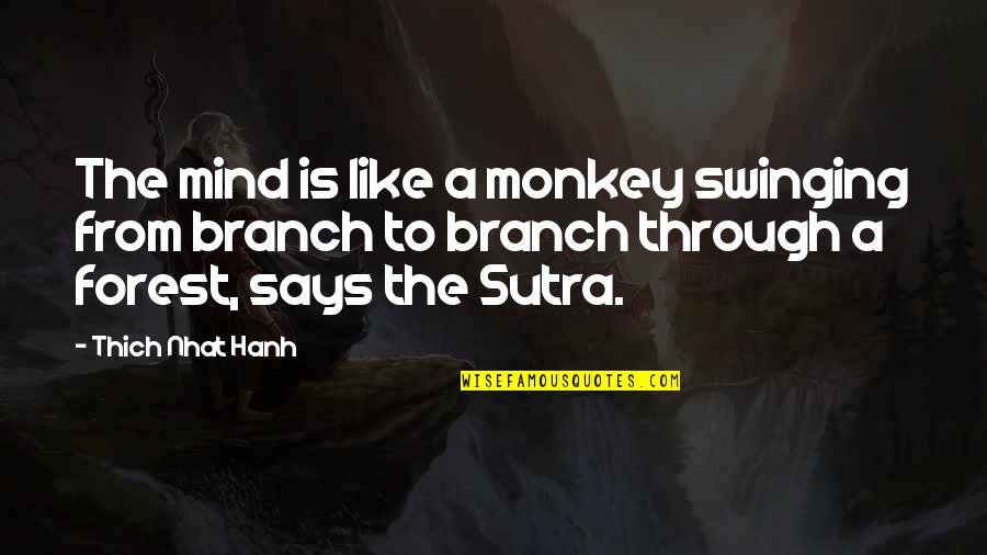 Thich Nhat Quotes By Thich Nhat Hanh: The mind is like a monkey swinging from Thich Nhat Quotes By Thich Nhat Hanh: The mind is like a monkey swinging from