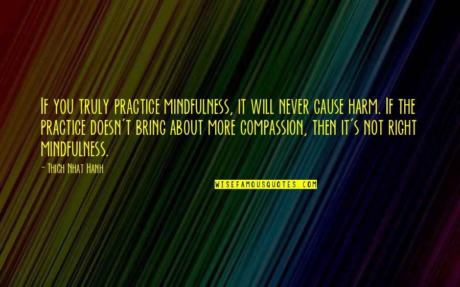 Thich Nhat Quotes By Thich Nhat Hanh: If you truly practice mindfulness, it will never