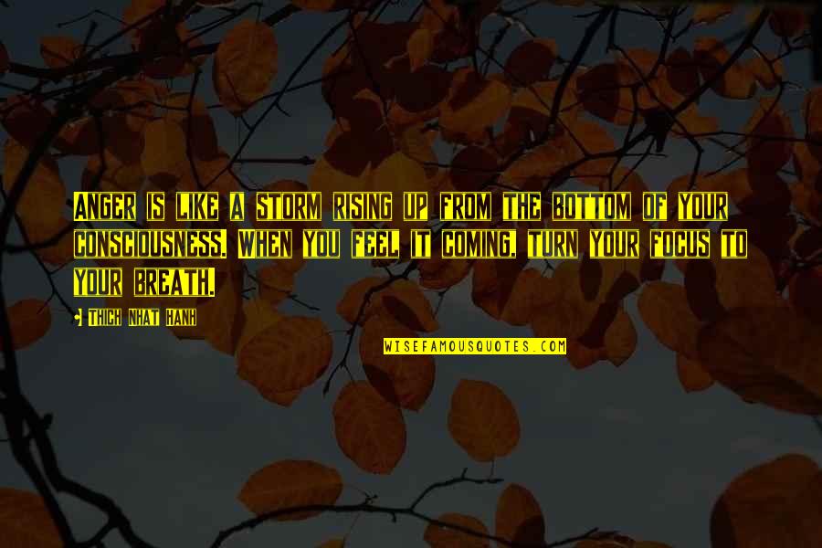 Thich Nhat Quotes By Thich Nhat Hanh: Anger is like a storm rising up from Thich Nhat Quotes By Thich Nhat Hanh: Anger is like a storm rising up from